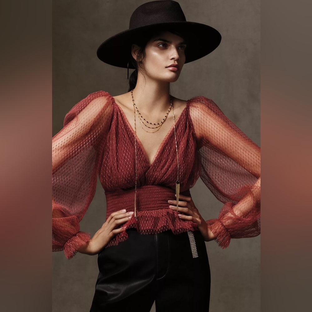 Anthropologie Tulle V Neck Blouse